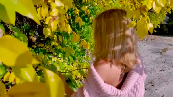 Época Outono Retrato Uma Mulher Brincando Com Folhas — Vídeo de Stock