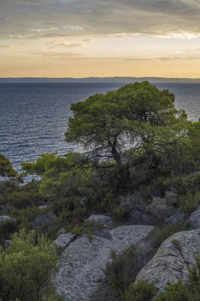 Nikiti Sithonia Chalkidiki Griechenland Strand — Stockfoto