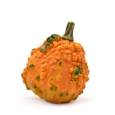 Bir siğil gibi kabak