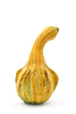 Bazı farklı pumpkins