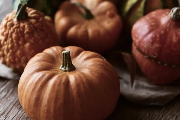 Sommige verschillende pompoenen — Stockfoto