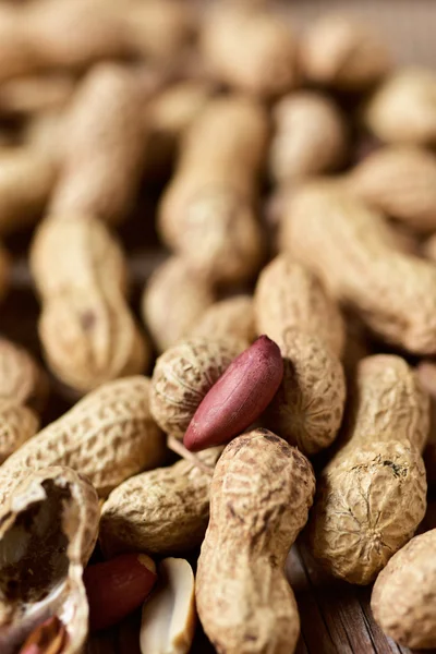 Cacahuetes en sus conchas —  Fotos de Stock