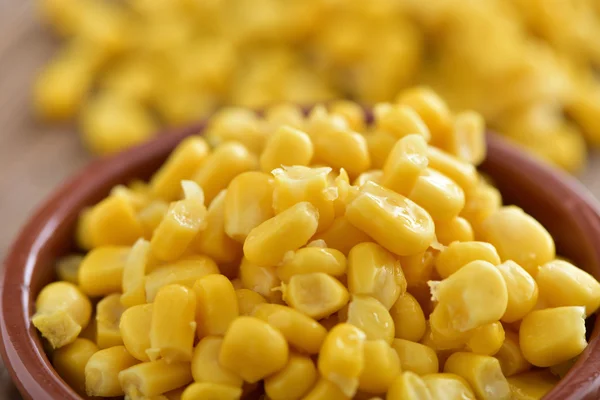 Niektóre kukurydza — Zdjęcie stockowe