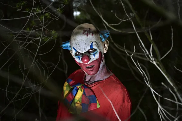 Skrämmande onda clown i skogen — Stockfoto