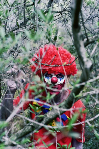 Scary evil clown in the woods — Stock Photo, Image