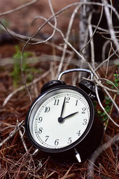 Despertador na floresta no outono — Fotografia de Stock