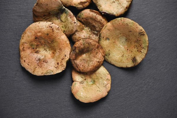 Rovellons, cogumelo típico do outono da Espanha — Fotografia de Stock