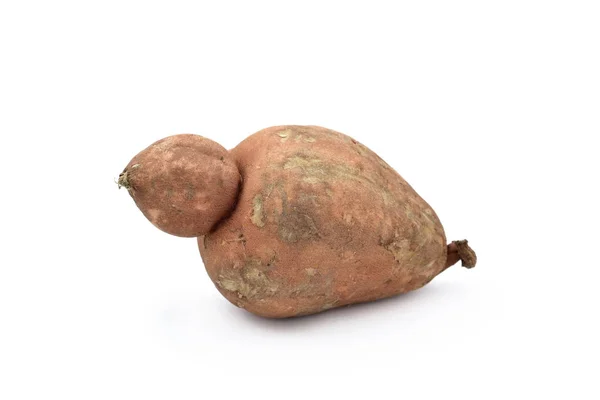 Una patata dolce — Foto Stock