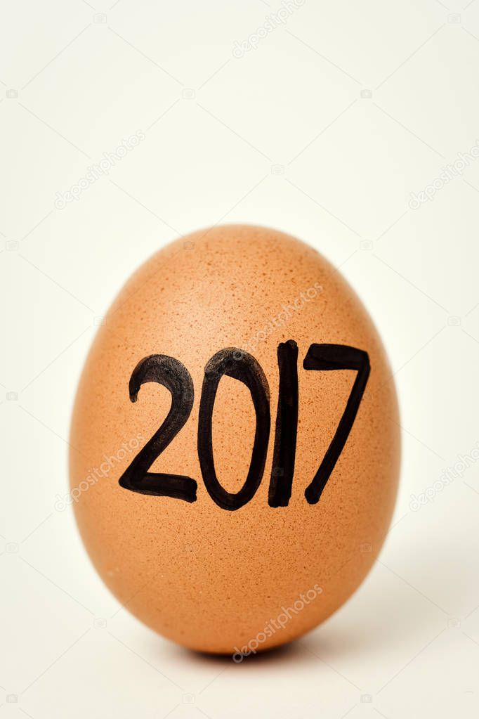 egg with the number 2017, as the new year