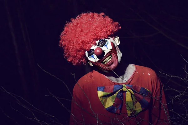 Effrayant clown maléfique dans les bois la nuit — Photo