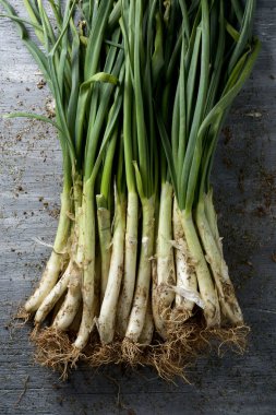 ham calcots, tatlı soğan Catalonia, İspanya tipik