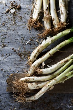ham calcots, tatlı soğan Catalonia, İspanya tipik
