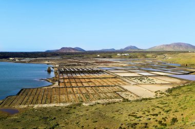 Laguna de Janubio Lanzarote, Kanarya Adaları, İspanya