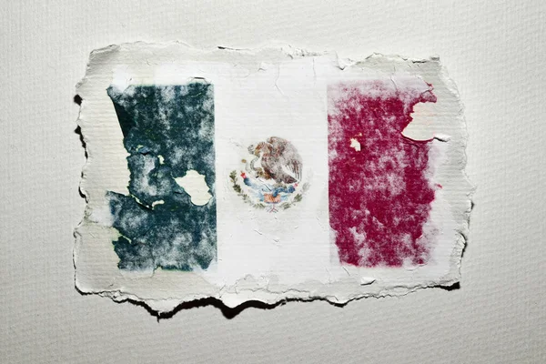 Mexicos flag - Stock-foto