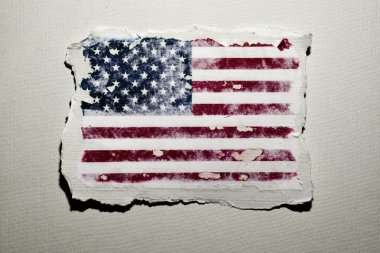 Birleşik Devletler Bayrağı