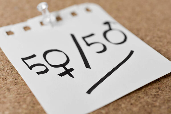 концепция гендерного паритета
