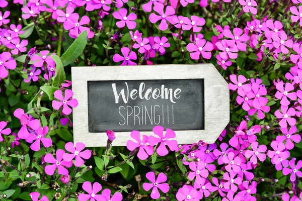 Chalkboard with the text welcome spring — Stock Photo, Image
