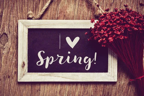 I love spring in a chalkboard — Stock Photo, Image