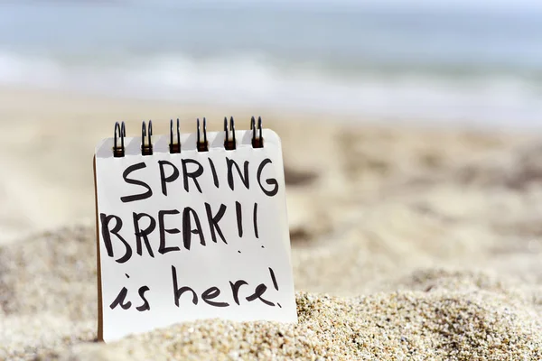 Text spring break is here in a notepad — Stock Photo, Image