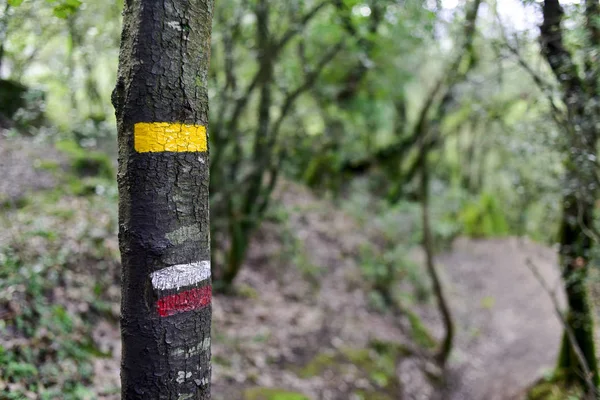 スペインのツリーで Gr パス マーク — ストック写真
