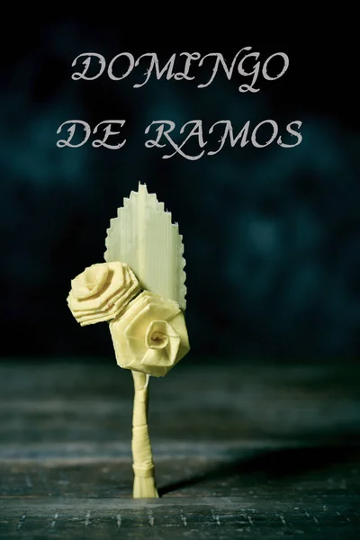 Texte Domingo de Ramos, Dimanche des Rameaux en espagnol — Photo