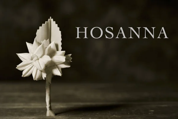 シュロの聖日の単語ホザナ編みパーム — ストック写真