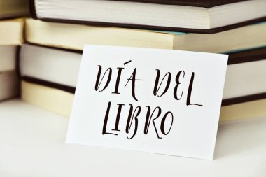 metin dia del libro, kitap günü İspanyolca