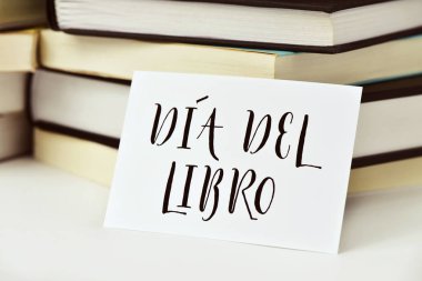 text dia del libro, book day in spanish clipart
