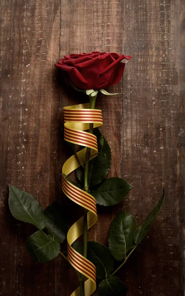 Rosa roja y bandera catalana —  Fotos de Stock