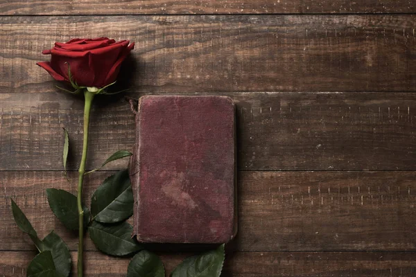 Rose rouge et vieux livre — Photo