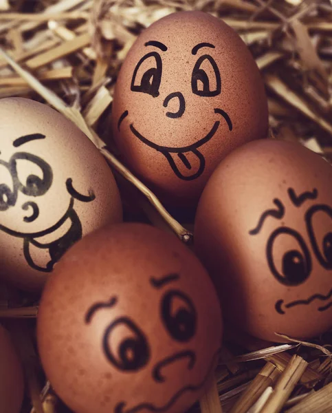 Brown eggs with funny faces — Stock Photo, Image