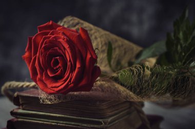 red rose and old books clipart