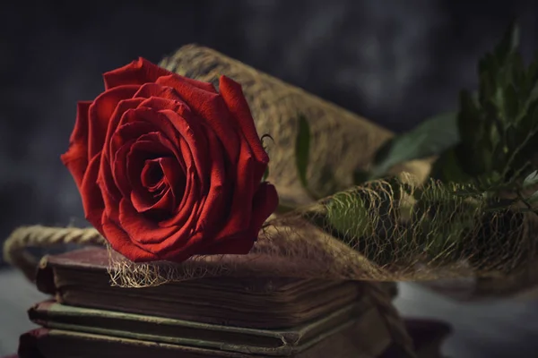 Красная роза и старые книги — стоковое фото
