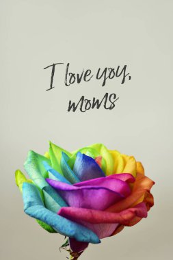 text I love you moms and rainbow rose clipart
