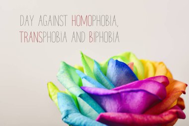 day against homophobia, transphobia and biphobia clipart