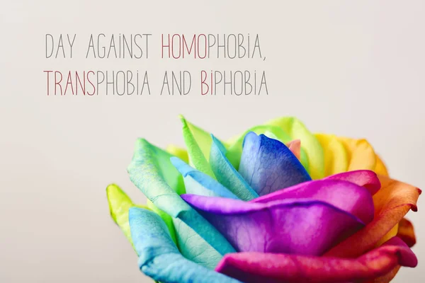 禁止对同性恋的憎恶、 不再恐和 biphobia 日 — 图库照片