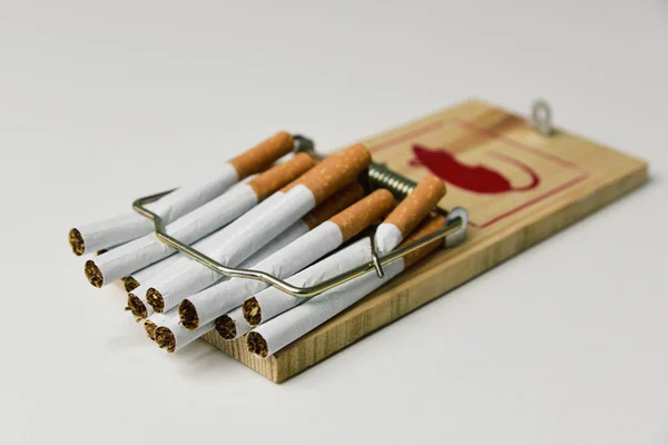 Cigarettes in a mousetrap — Stock Photo, Image