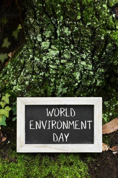 Chalkboard with the text world environment day — Stock Photo, Image