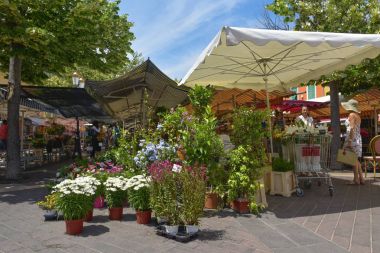 Nice, Fransa 'da Marche aux Fleurs