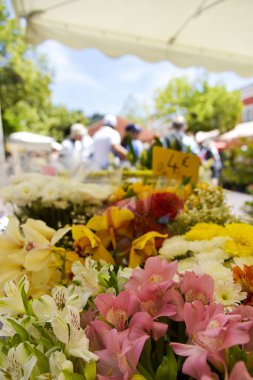 Nice, Fransa 'da Marche aux Fleurs