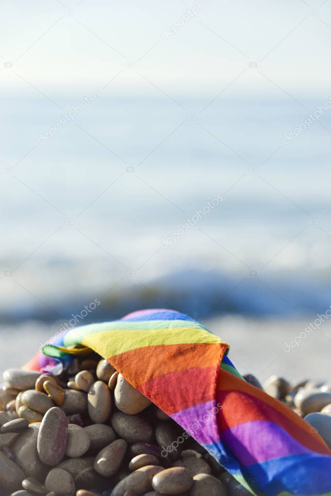 rainbow flag in a shingle beach
