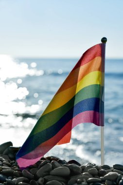 Gökkuşağı bayrağı shingle Beach