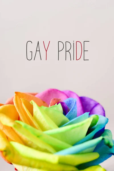 Rainbow rose and text gay pride — Stock Photo, Image