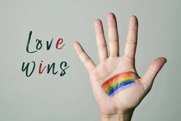 rainbow flag and text love wins