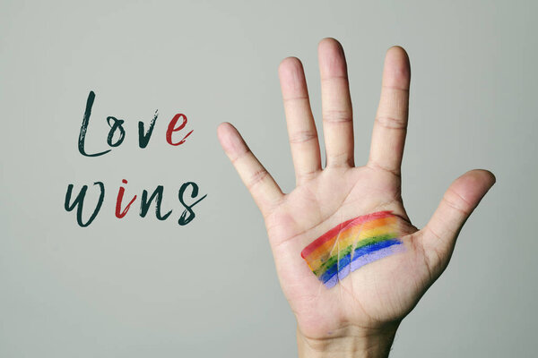 rainbow flag and text love wins