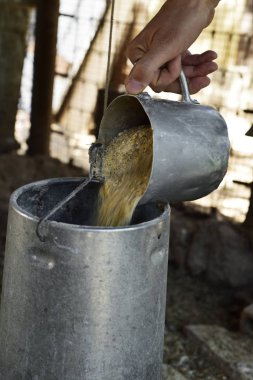 farmer man filling a feeder in a henhouse clipart