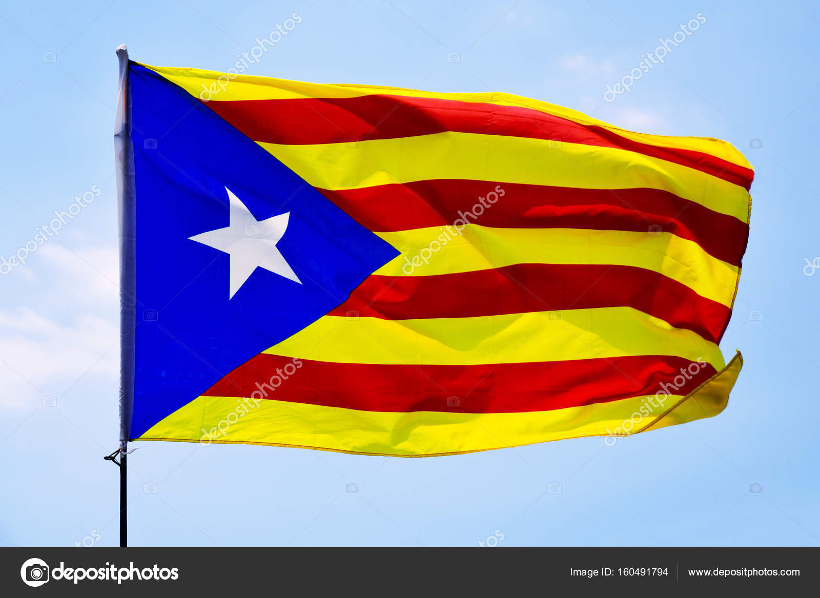 Mi logo no carga :(