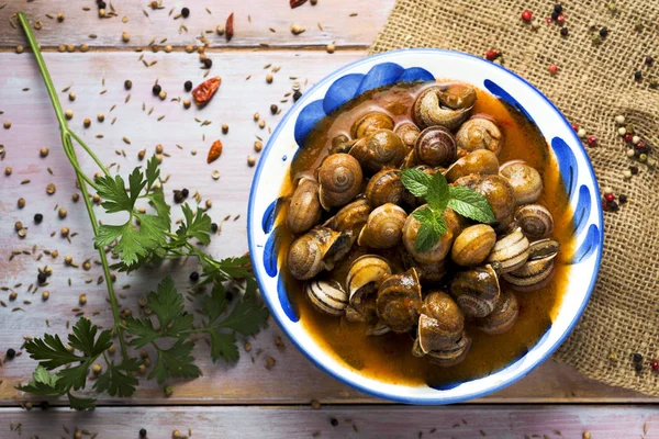 Spanish caracoles en salsa, cooked snails in sauce — Stock Photo, Image