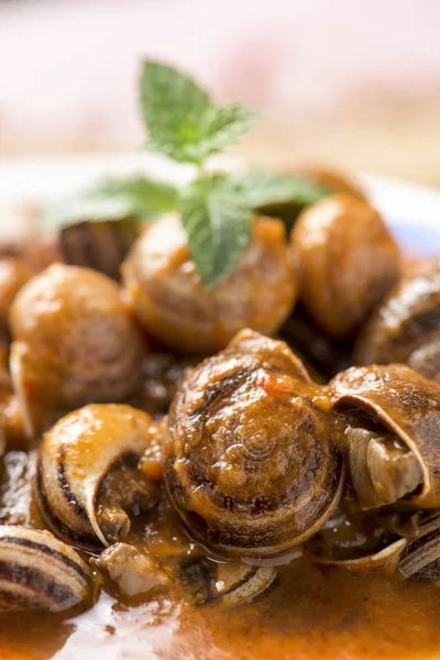 Spanish caracoles en salsa, cooked snails in sauce — Stock Photo, Image
