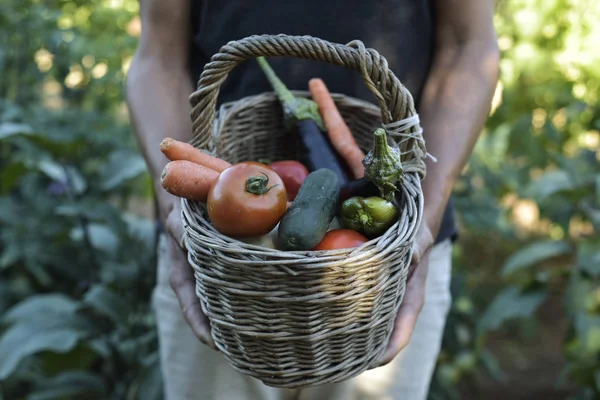 Young man with a basket full of vegetables — Stock Photo, Image